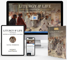 Liturgy & Life: Unveiling the Mystical Movement of the Mass Individual Course